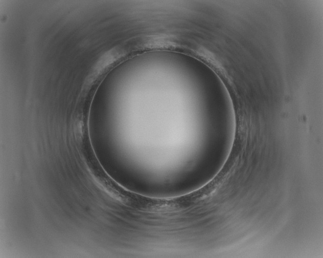 X0000073470063200607281253