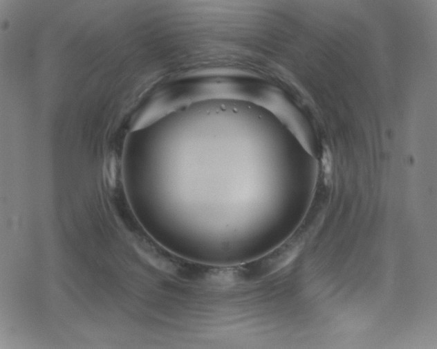 X0000073470076200607281253