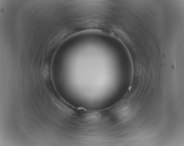 X0000073470077200607281253