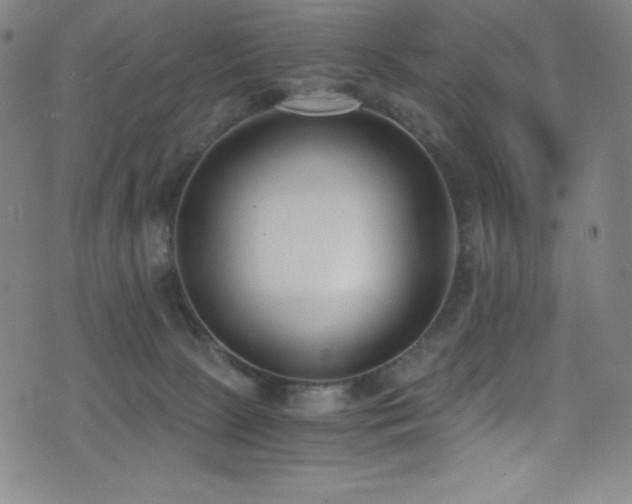 X0000073470081200607281253
