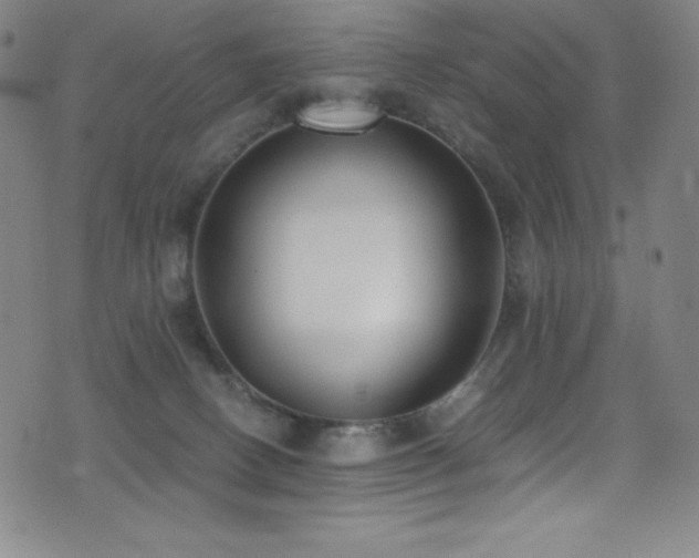 X0000073470082200607281253