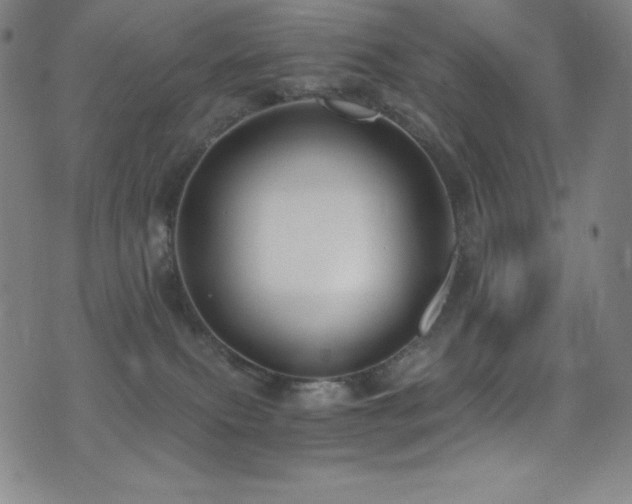 X0000073470087200607281253