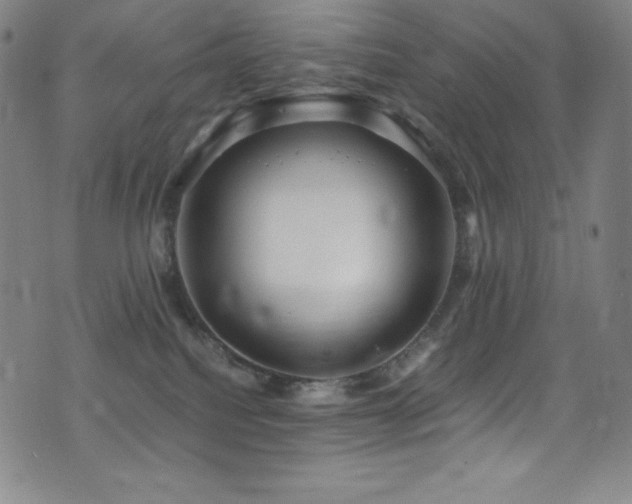 X0000073470088200607281253