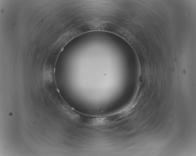 X0000073470090200607281253