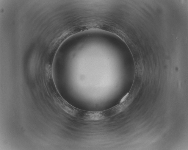 X0000073470093200607281253