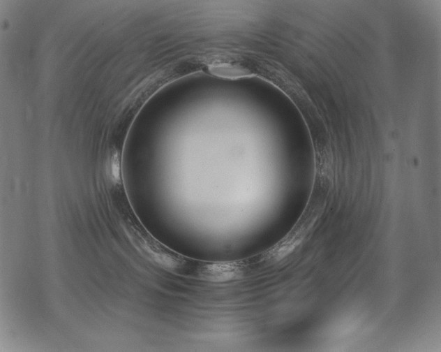 X0000073470095200607281253