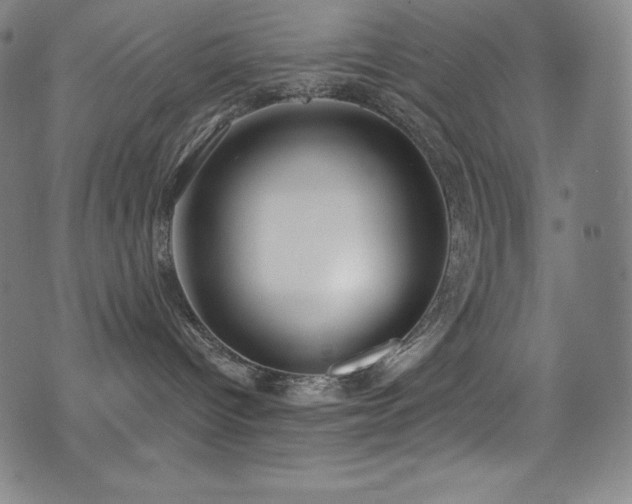 X0000073470096200607281253