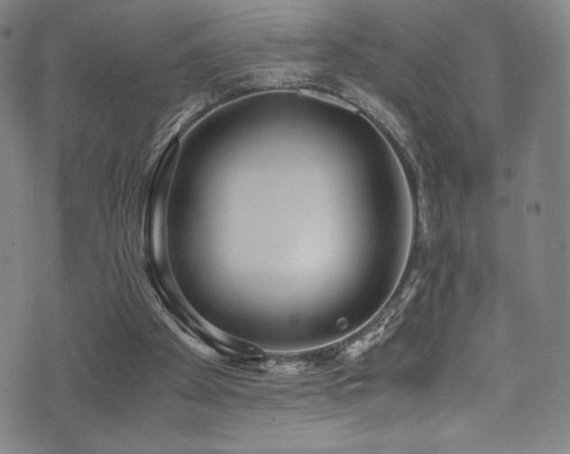 X0000073470105200607281253