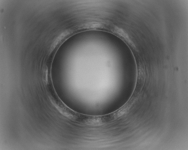 X0000073470110200607281252