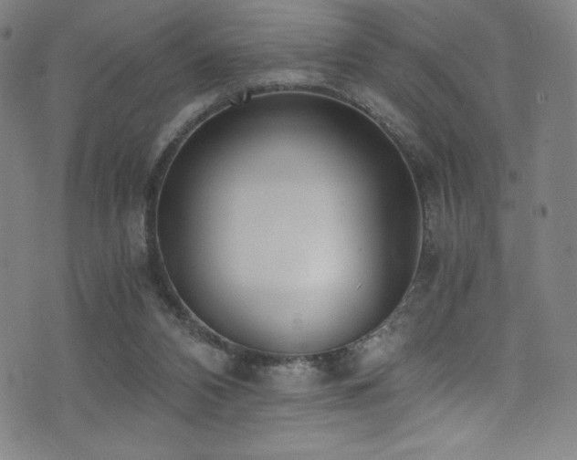X0000073470112200607281252