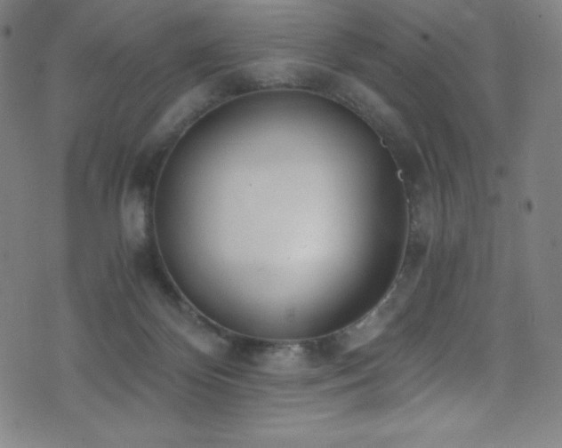 X0000073470124200607281252