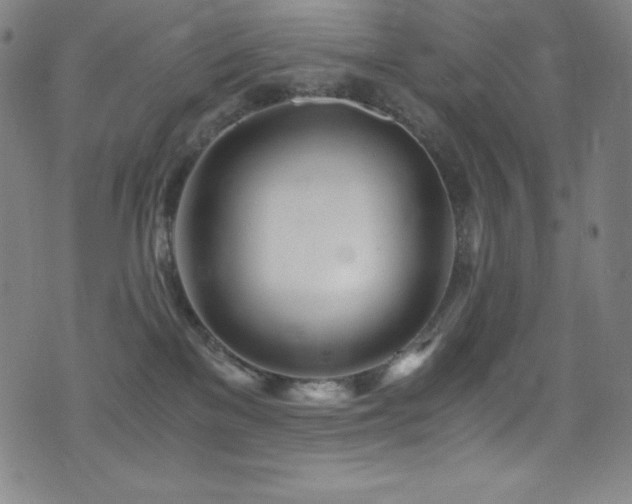 X0000073470137200607281252