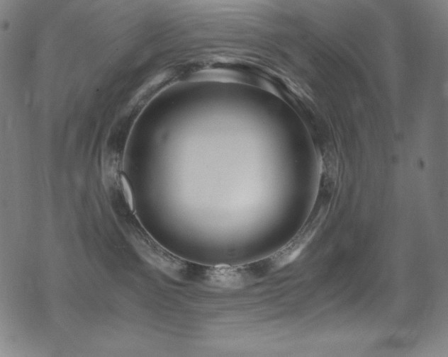 X0000073470141200607281252