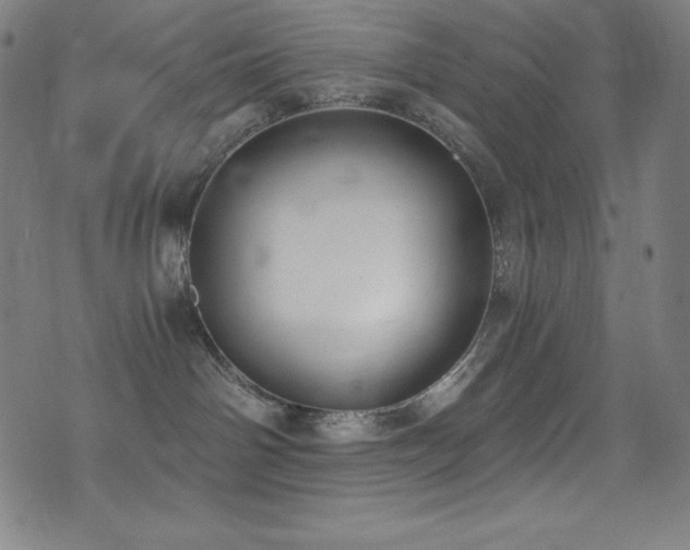 X0000073470142200607281252
