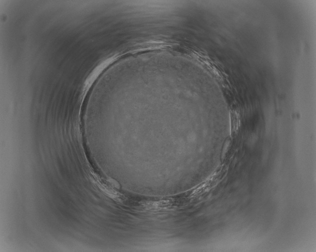 X0000073470147200607281251