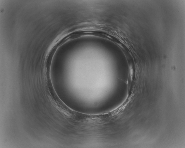 X0000073470150200607281251