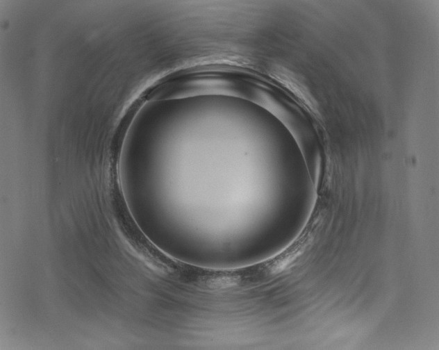 X0000073470156200607281251