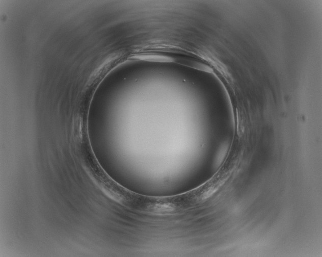 X0000073470157200607281251