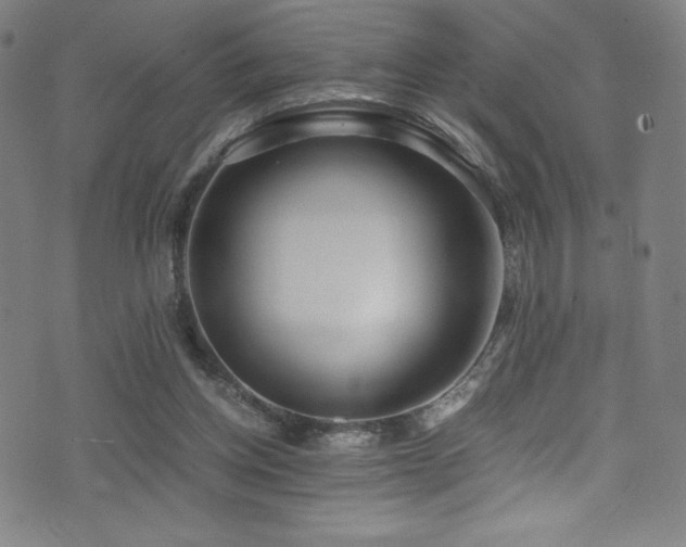 X0000073470158200607281251