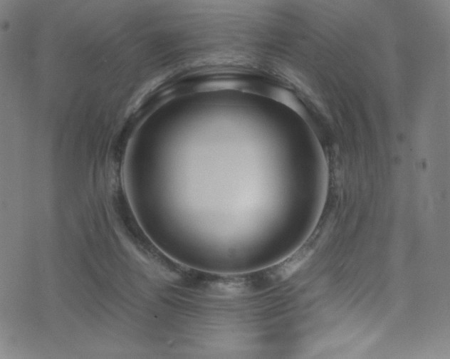 X0000073470164200607281251