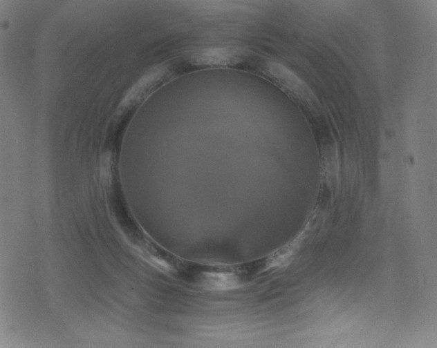 X0000073470167200607281252
