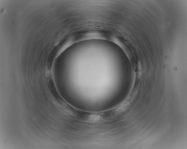 X0000073470176200607281252