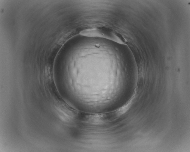 X0000073470182200607281252