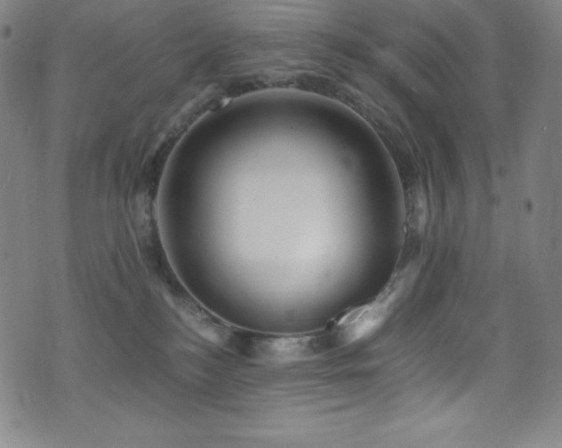 X0000073470184200607281252
