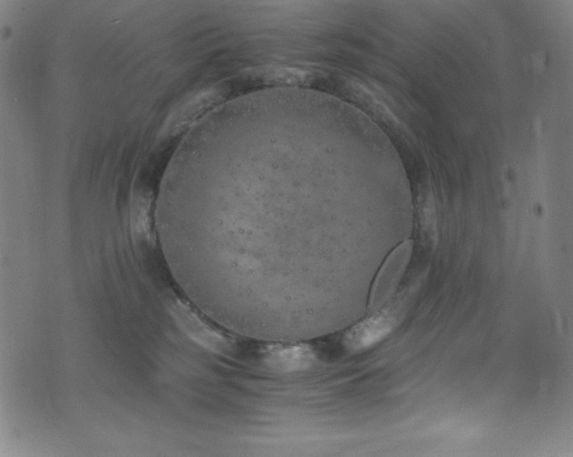 X0000073470185200607281252