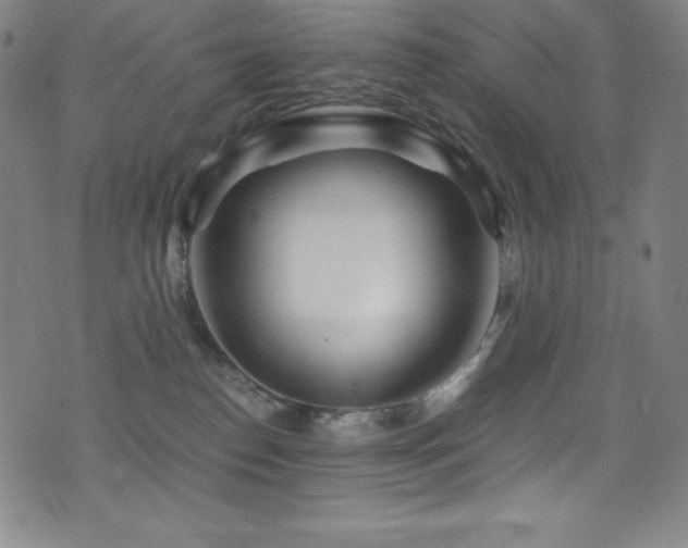 X0000073470186200607281252