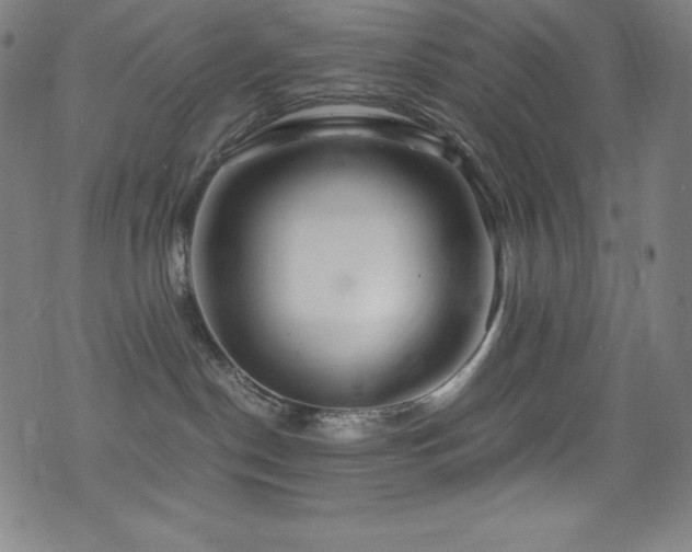 X0000073470190200607281252