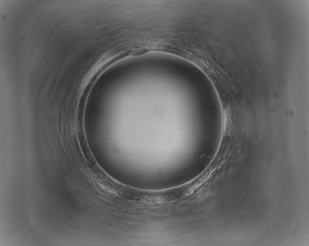 X0000073470195200607281251