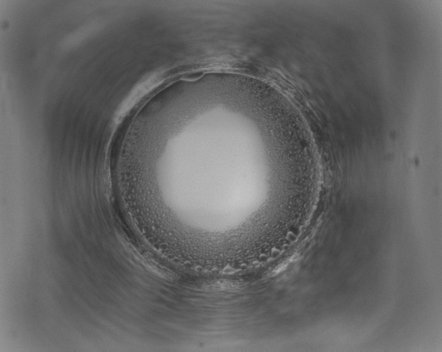 X0000073470198200607281251