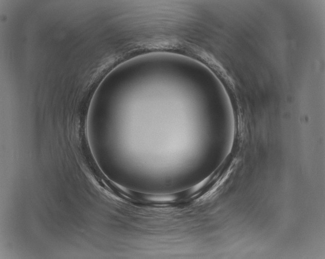 X0000073470201200607281251