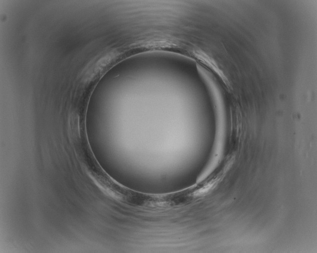 X0000073470205200607281251