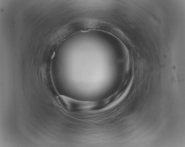 X0000073470217200607281251