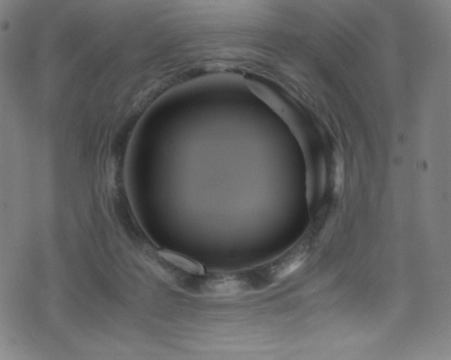 X0000073470219200607281251