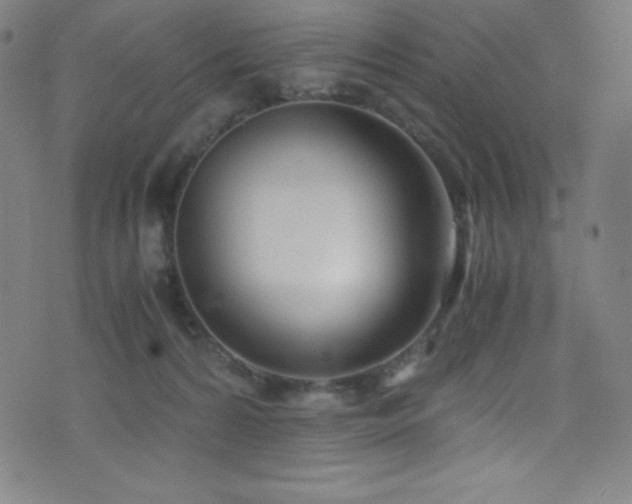 X0000073470224200607281251