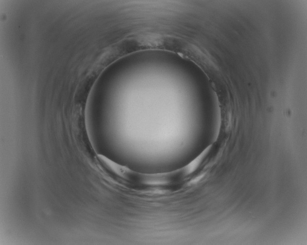 X0000073470229200607281251