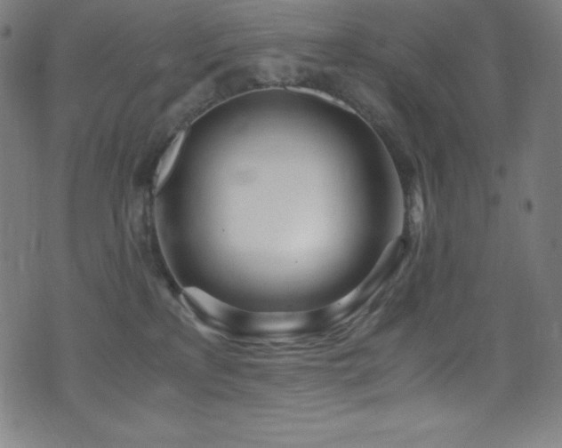 X0000073470233200607281250