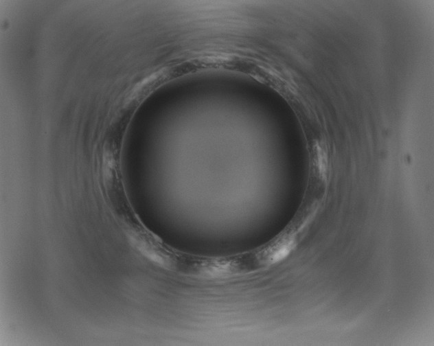 X0000073470235200607281250