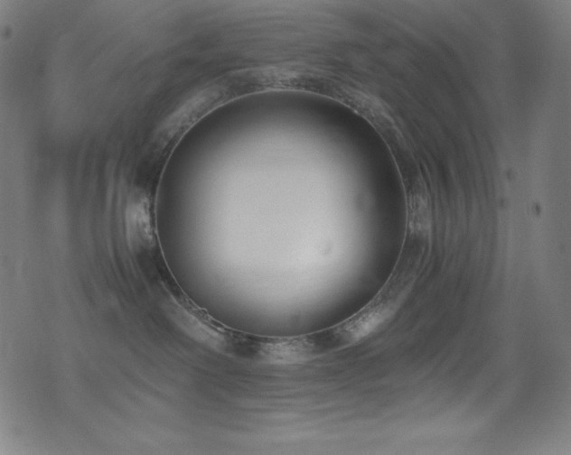 X0000073470238200607281250