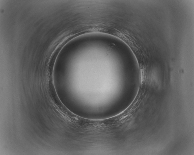 X0000073470243200607281250