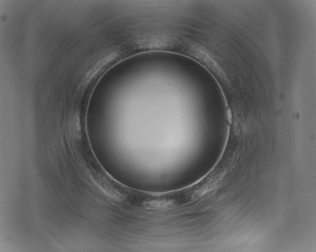 X0000073470251200607281250