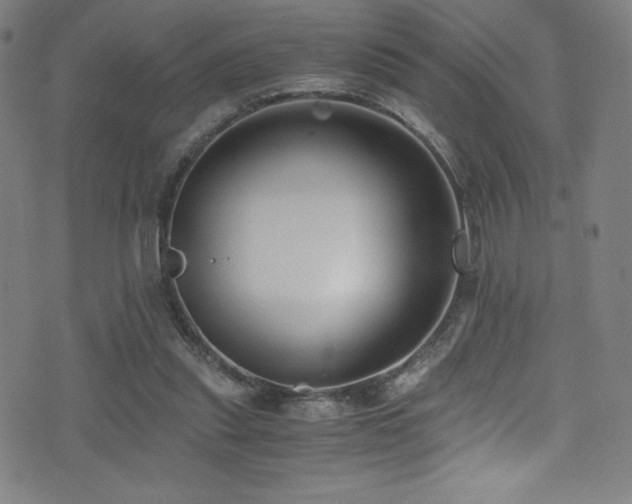 X0000073470253200607281250