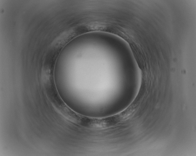X0000073470263200607281250