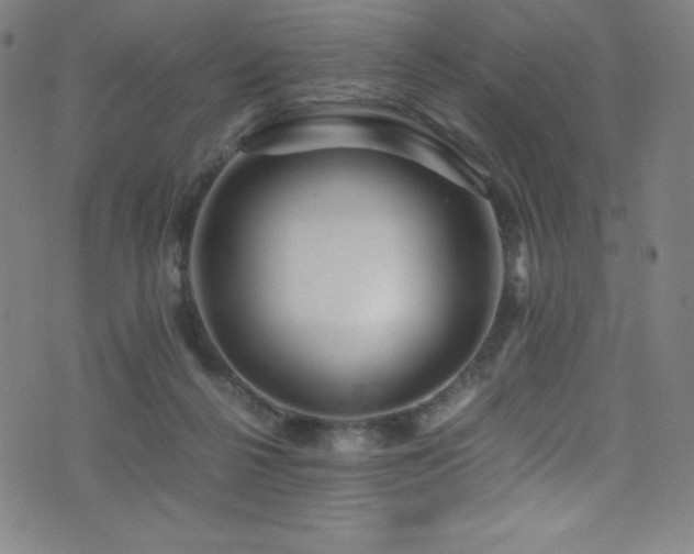 X0000073470264200607281250