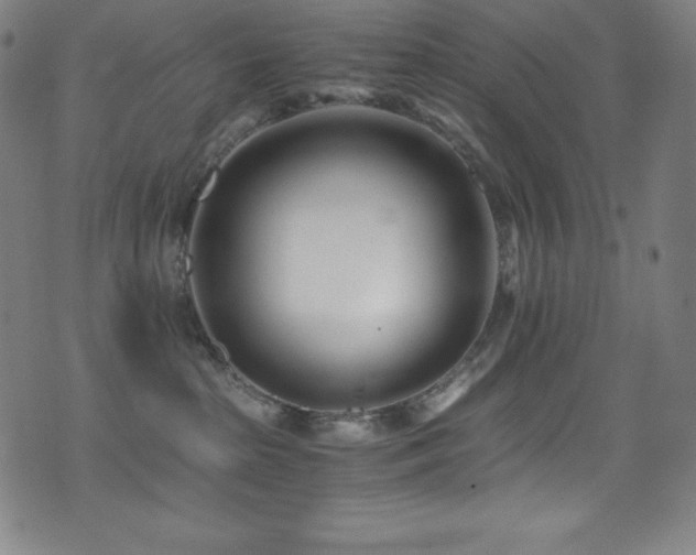 X0000073470285200607281250
