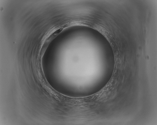 X0000073470289200607281250