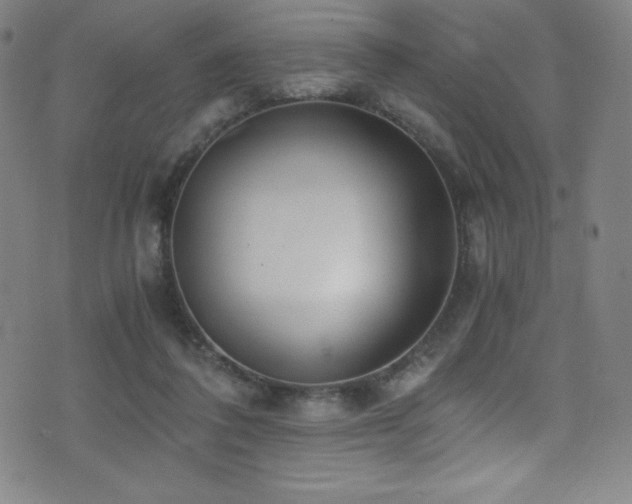 X0000073470308200607281249
